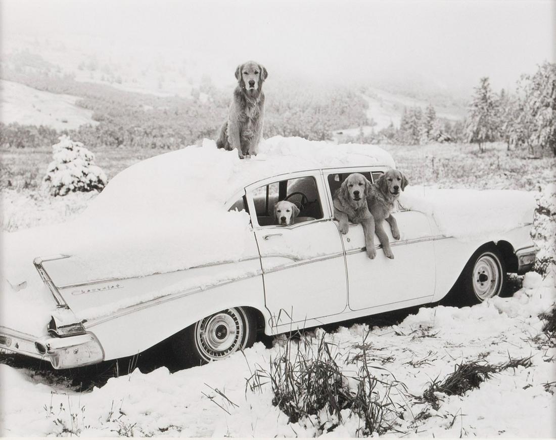 BRUCE WEBER (AMERICAN, B. 1946) (1 of 7)