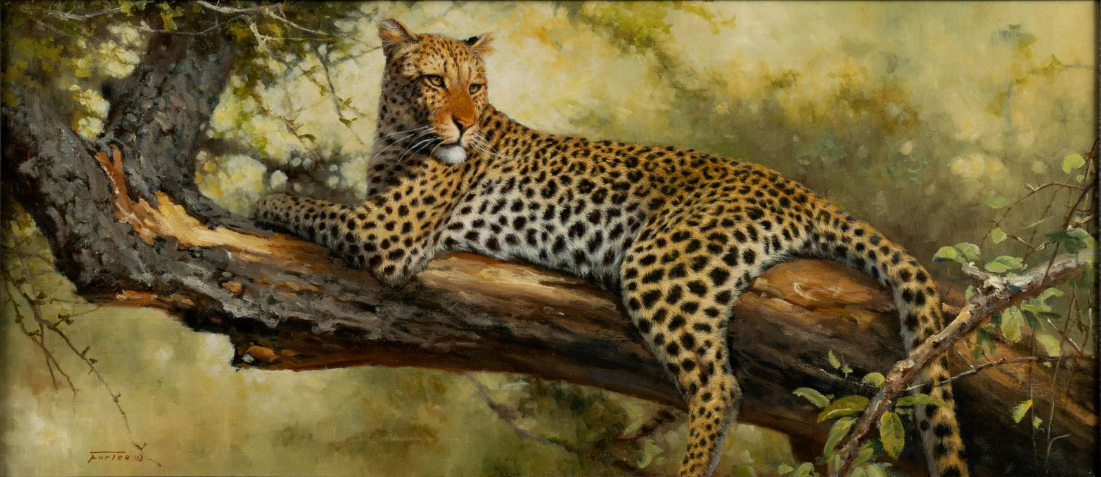 ERIC FORLEE (AMERICAN, B. 1949): Eric ForleeAmerican, b. 1949LeopardOil on canvas, signed lower leftAn alert leopard looks out from a tree, framed.Stretcher: 15 x 32 1/2 in. (38.1 x 82.6 cm.); frame: 19 3/4 x 37 3/4 in. (50.17 x 95.8