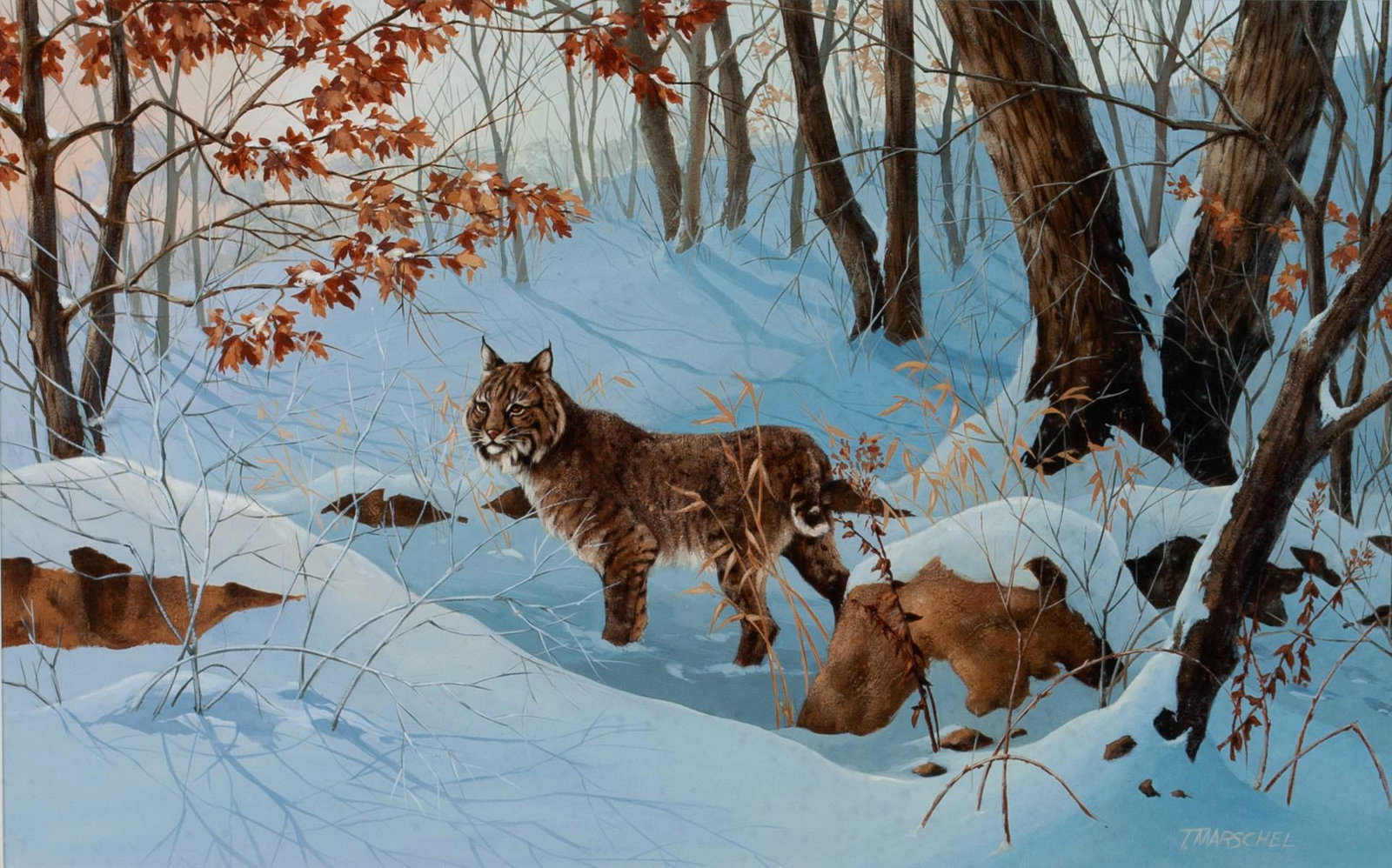 T. MARSCHEL (AMERICAN, 20TH CENTURY): T. Marschel American, 20th century Lynx in the Snow Oil on board, signed lower right Lynx in a snowy, wooded landscape, framed and matted. Sight 12 1/2 x 20 in. (31.8 x 50.8 cm.), frame: 22 x 29 in. (