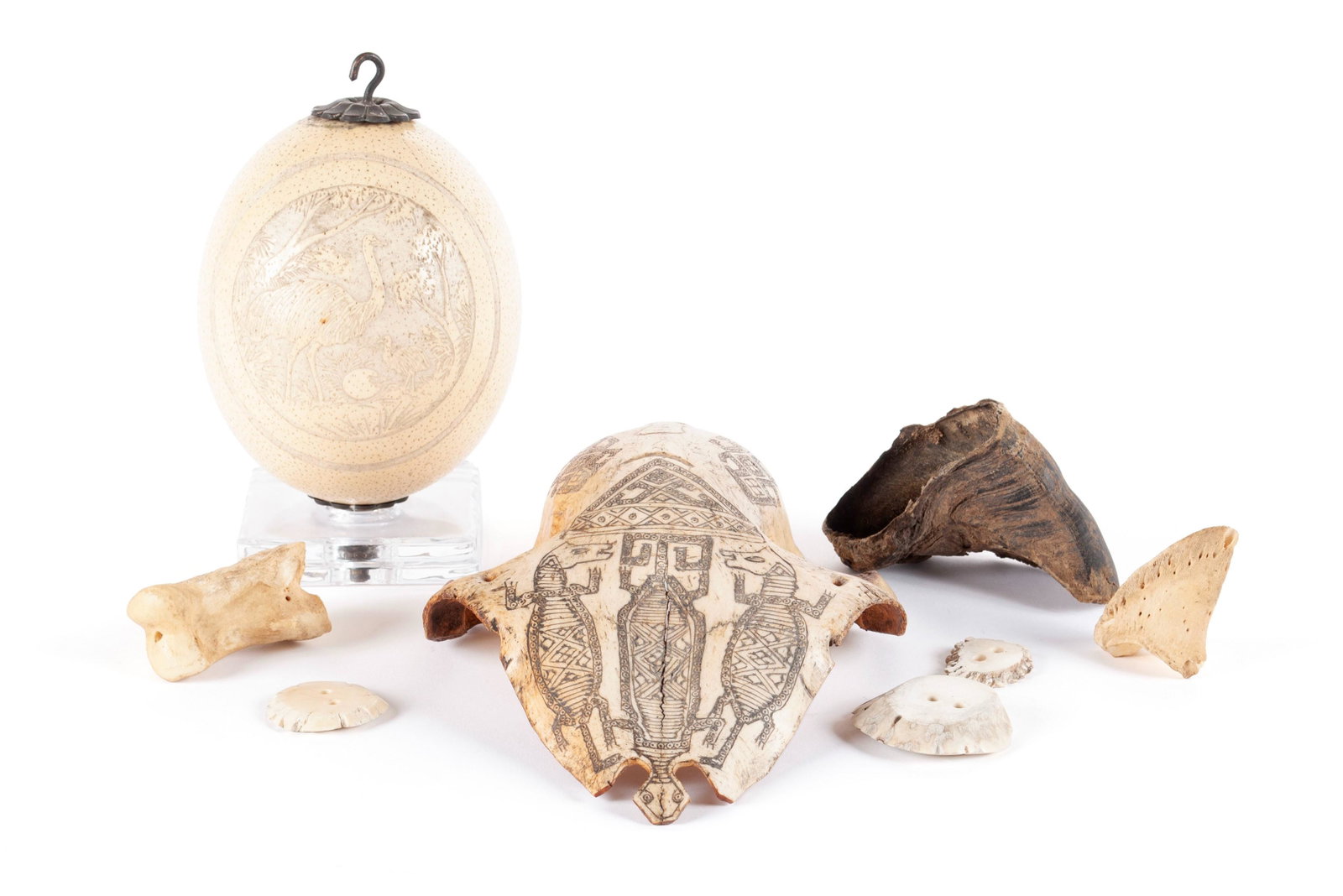 SCRIMSHAW SKULL AND OSTRITCH EGG: SCRIMSHAW SKULL AND OSTRITCH EGG A carved and mounted ostrich egg with bill of sale from Robertsons, New Hope, PA 1995 and a 19th century Indonesian Belu Antoni incised cow skull. Together with three 