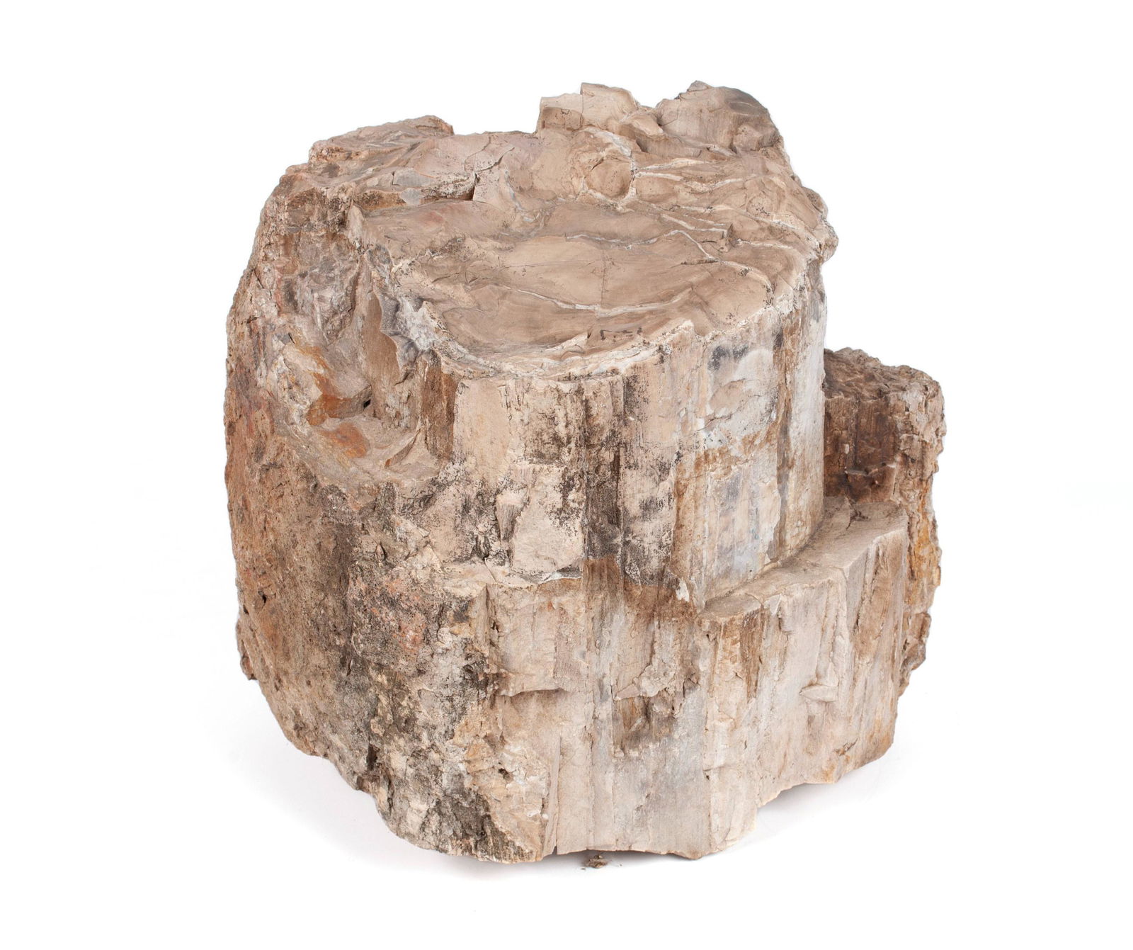 LARGE PIECE OF PETRIFIED WOOD (1 of 7)