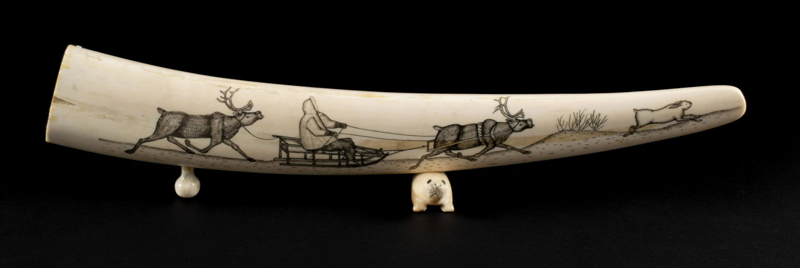 AN INUIT SCRIMSHAW TUSK: AN INUIT SCRIMSHAW TUSK Alaskan (Reindeer People), c. 1900, organic material. A sledding figure with two reindeer chasing a hare incised to one side, a harem of seals to the other, one fallen prey to 