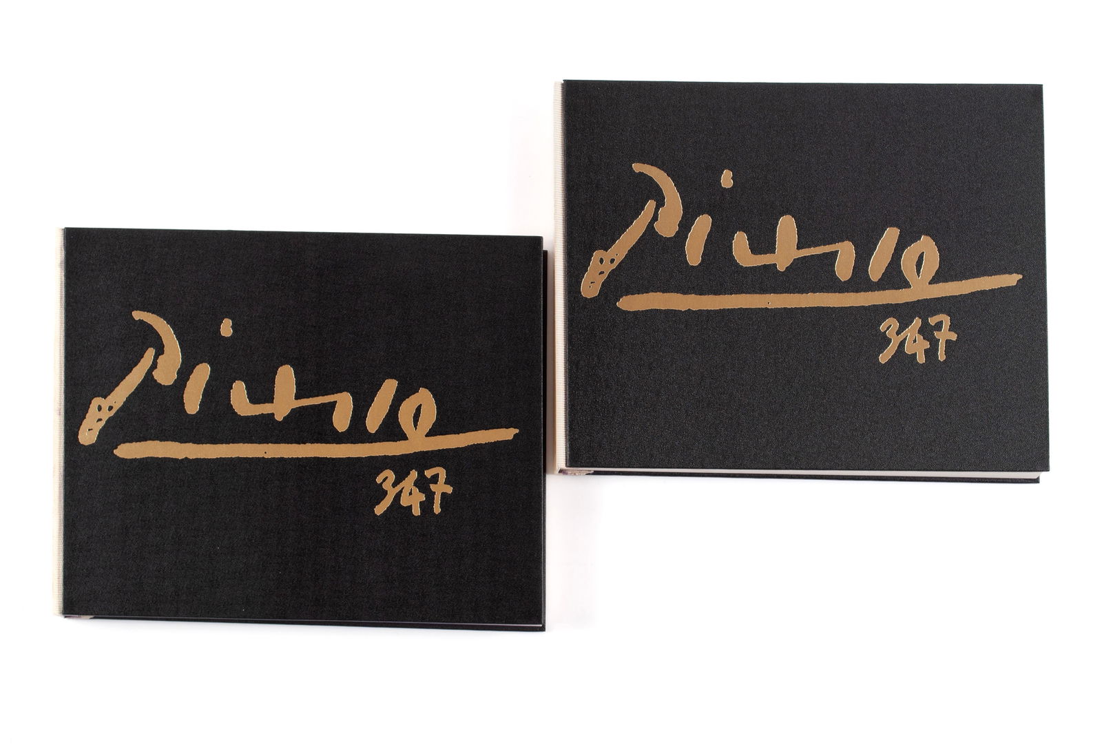 PICASSO 347 VOL. 1 & 2 (1 of 12)