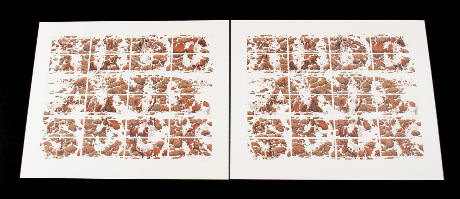 TWO  HIDE AND SEEK  IMAGES BY BEV DOOLITTLE (1 of 11)