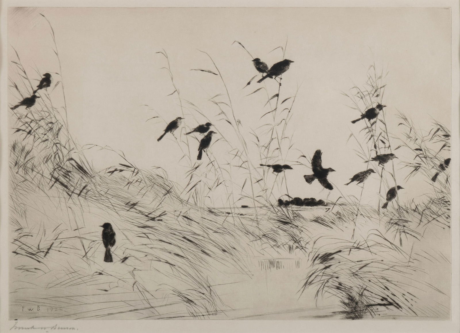 FRANK W. BENSON (AMERICAN, 1862-1951): Frank W. BensonAmerican, 1862-1951Blackbirds and RushesDrypointSigned, initialed and dated 1920 in the image, gallery label verso marked as an edition of 160. Image of birds in a natural setting, matt