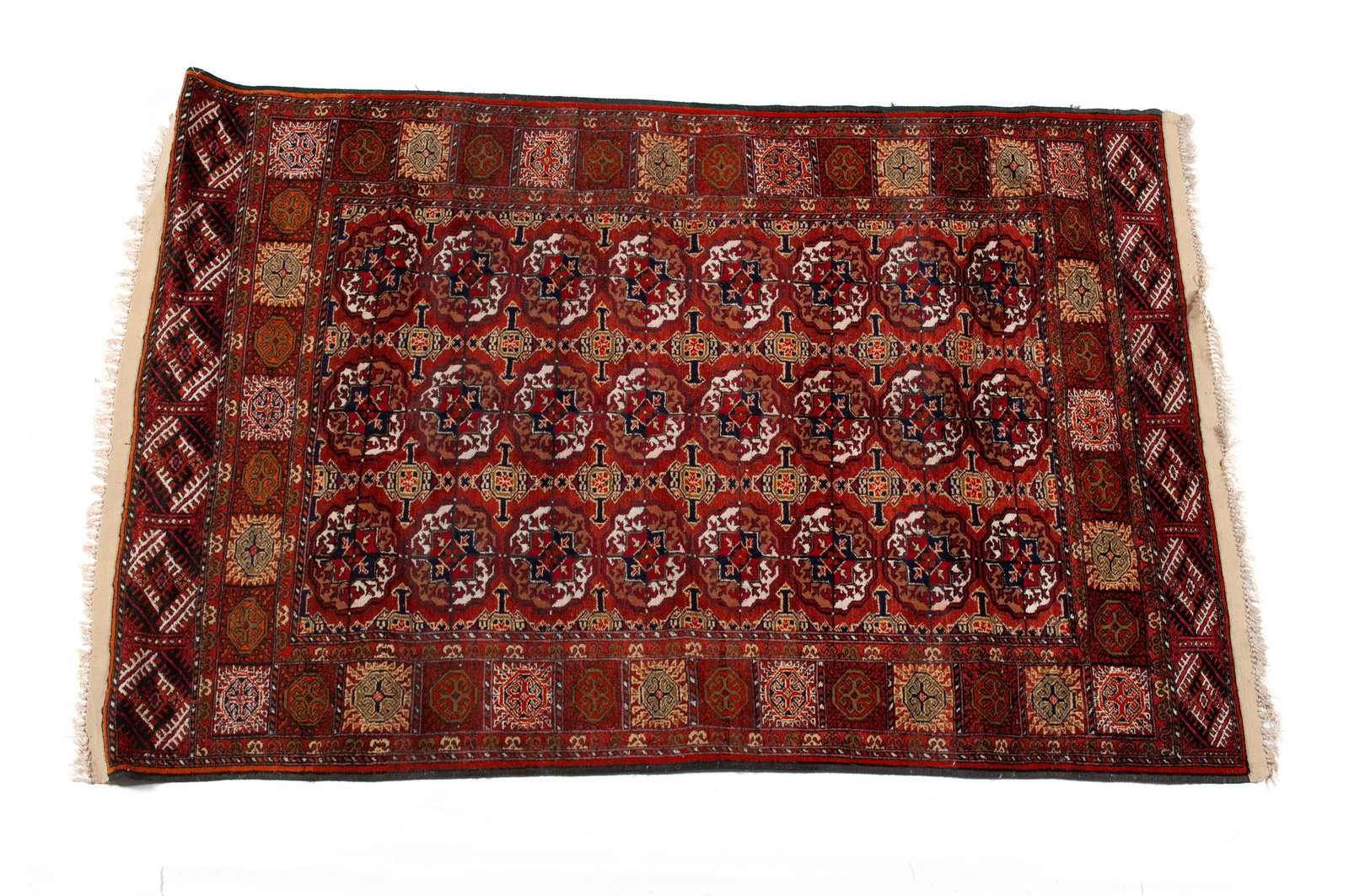 PAK-BOKHARA AREA RUG (1 of 7)