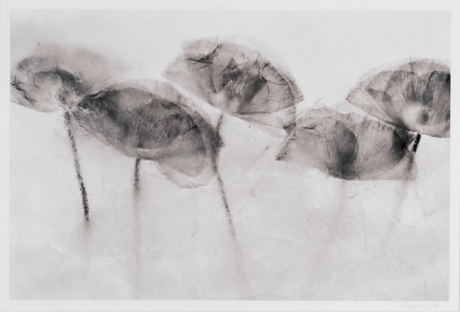 RYUIJIE DOUGLAS (JAPANESE/AMERICAN, B. 1950) (1 of 6)