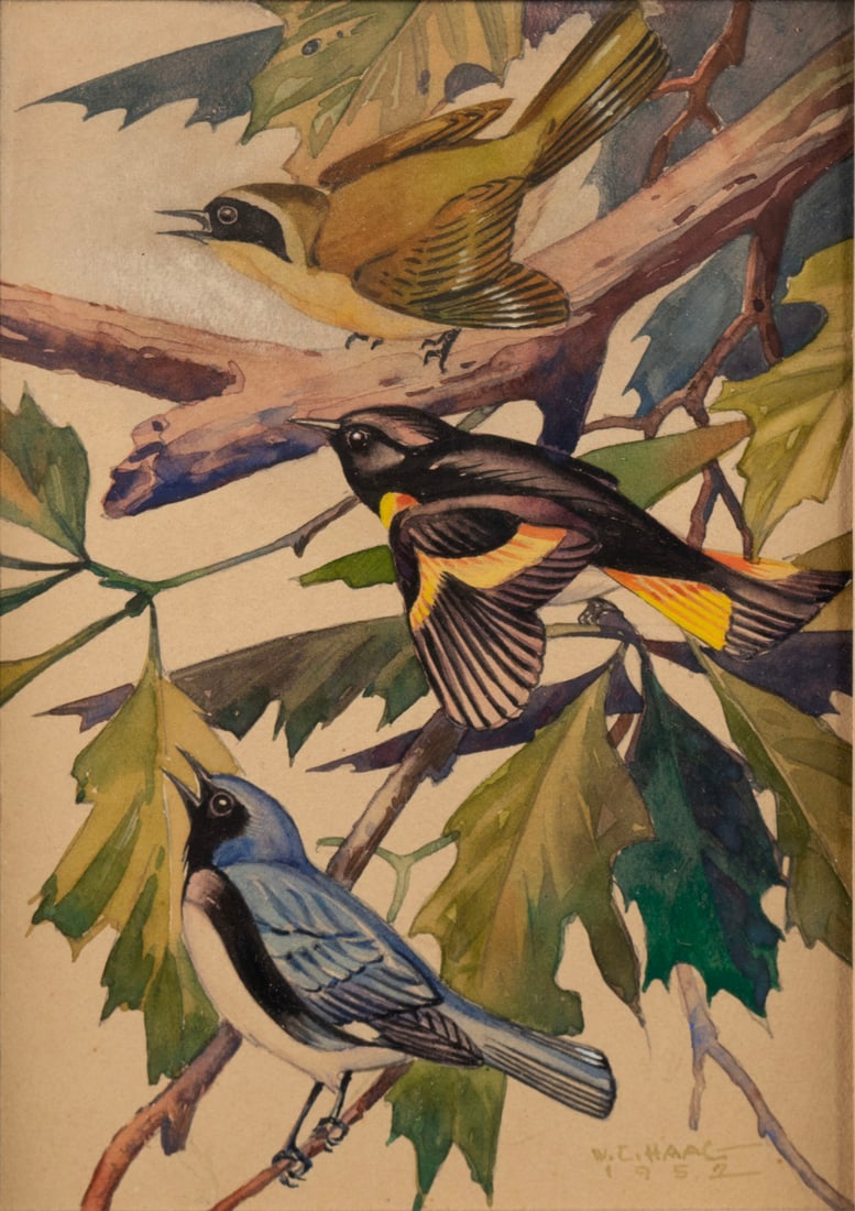BIRD WATERCOLOR, SIGNED W.C. HAAG (1 of 8)