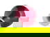 item-209045036=4