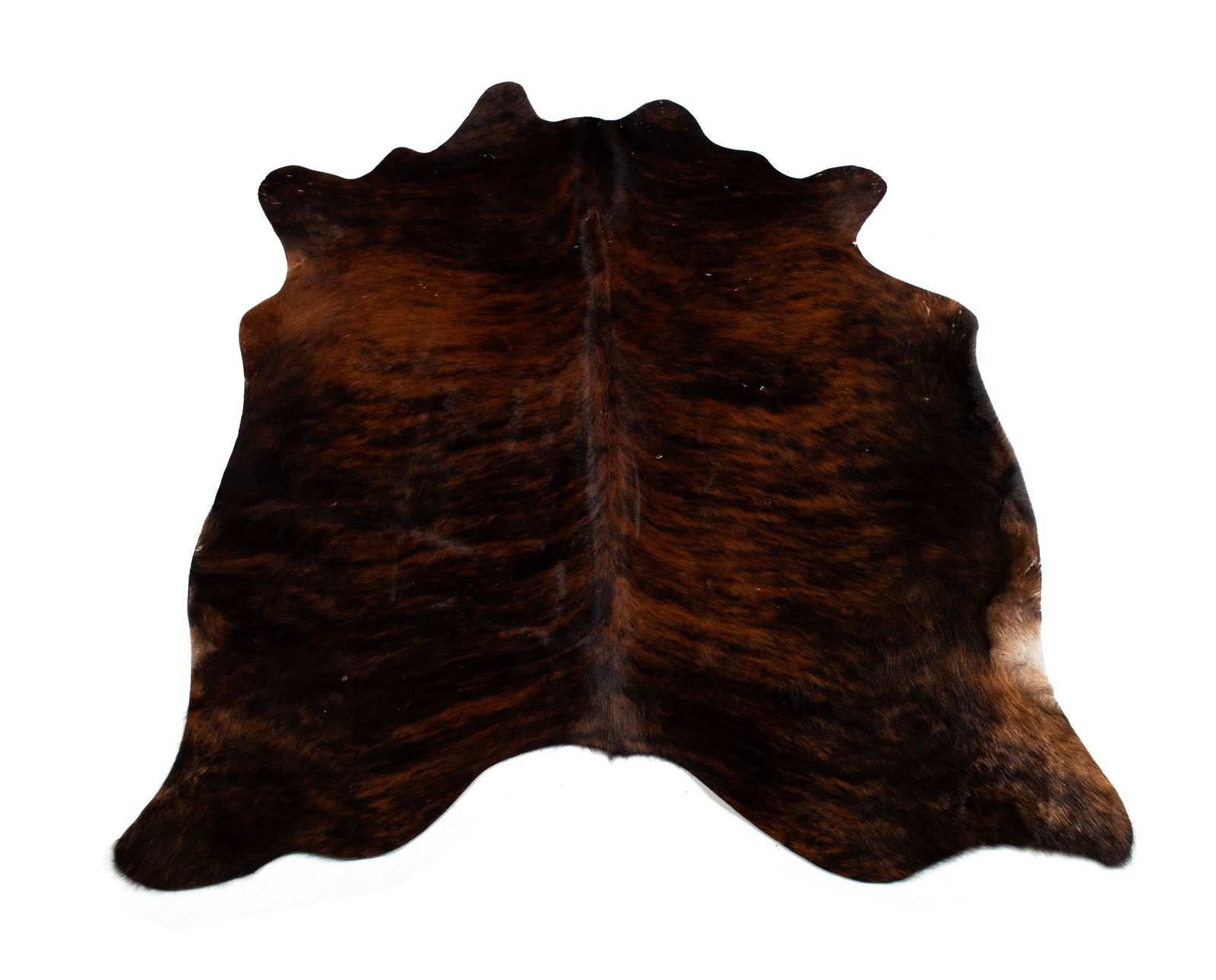BRINDLE COWHIDE RUG (1 of 7)