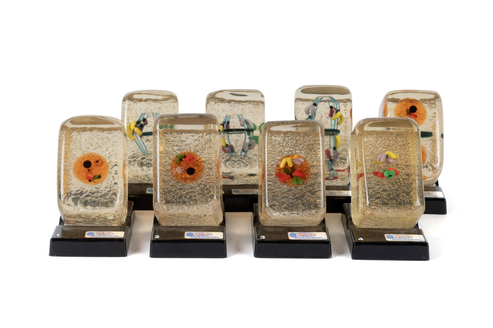 EARLY STACO CELL LABRATORY MODELS (1 of 9)