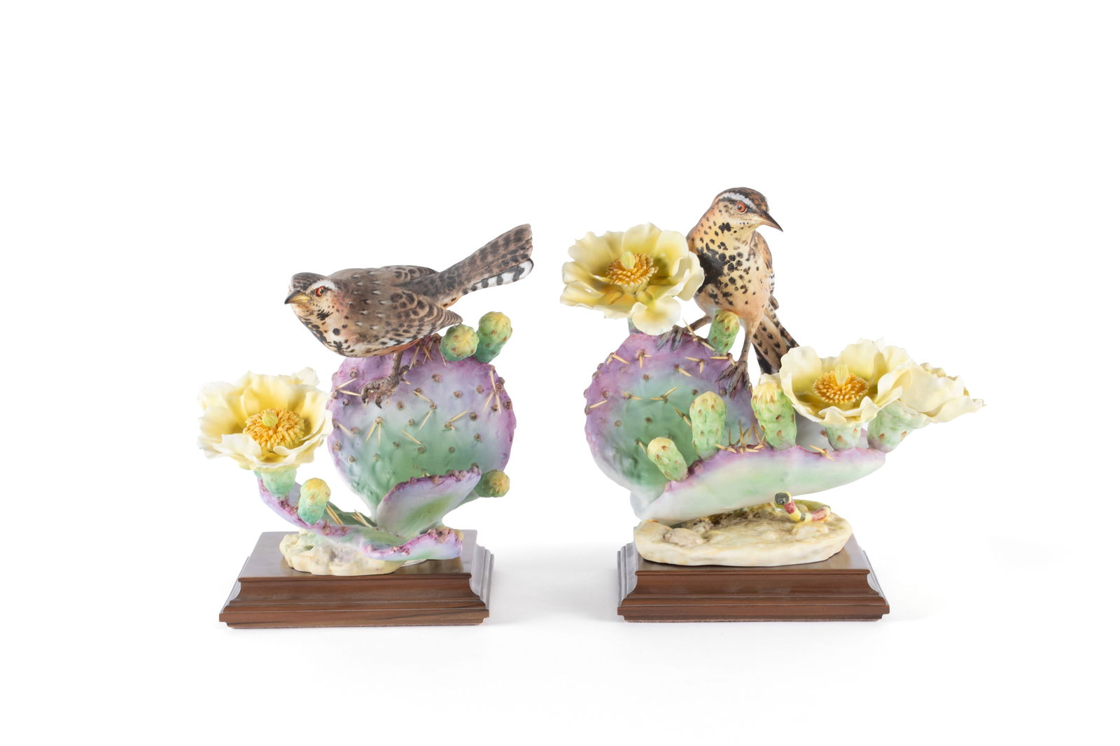 PAIR OF DOROTHY DOUGHTY FOR ROYAL WORCESTER CACTUS WRENS (1 of 12)