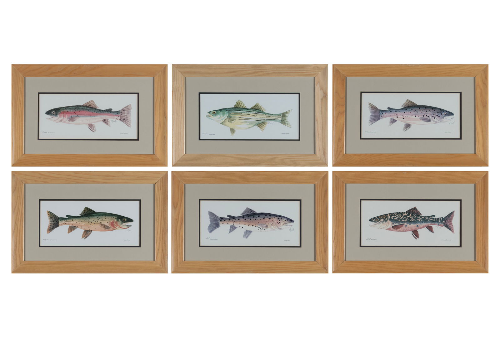 SET OF SIX FISH PRINTS BY DAN GOAD (1 of 20)