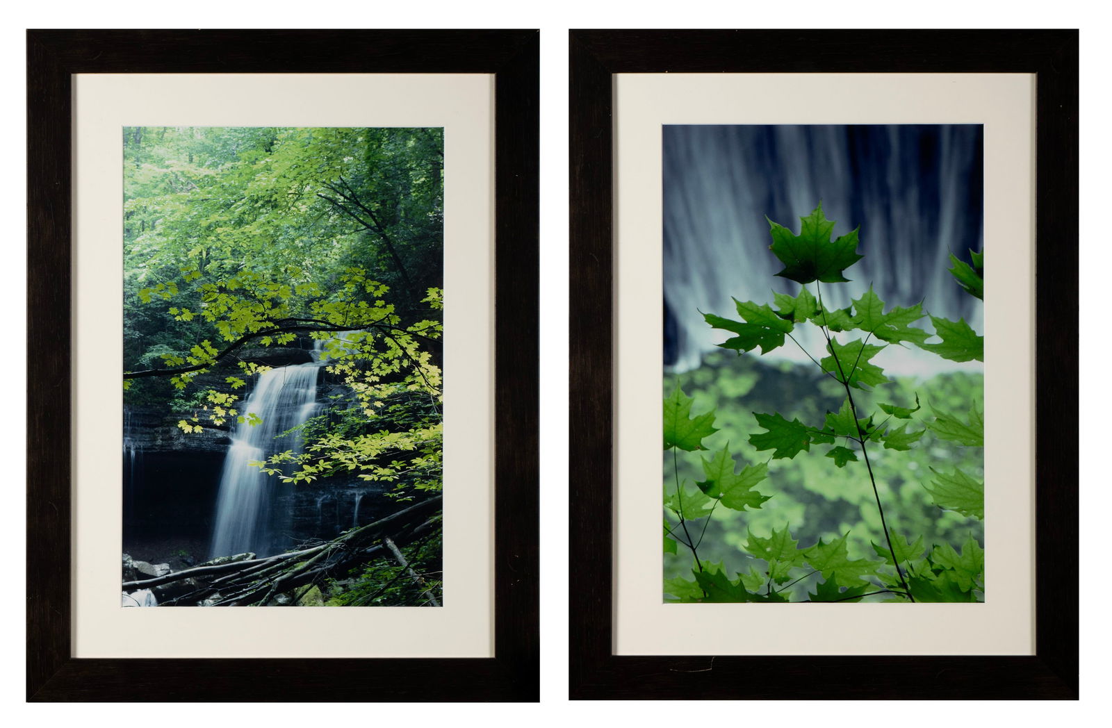 TWO NATURE PHOTOGRAPHS: TWO NATURE PHOTOGRAPHS Unsigned. Framed and matted. Sight: 22 x 14 in. (55.9 x 35.6 cm.), Frame: 30 1/2 x 23 in. (77.5 x 58.4 cm.)