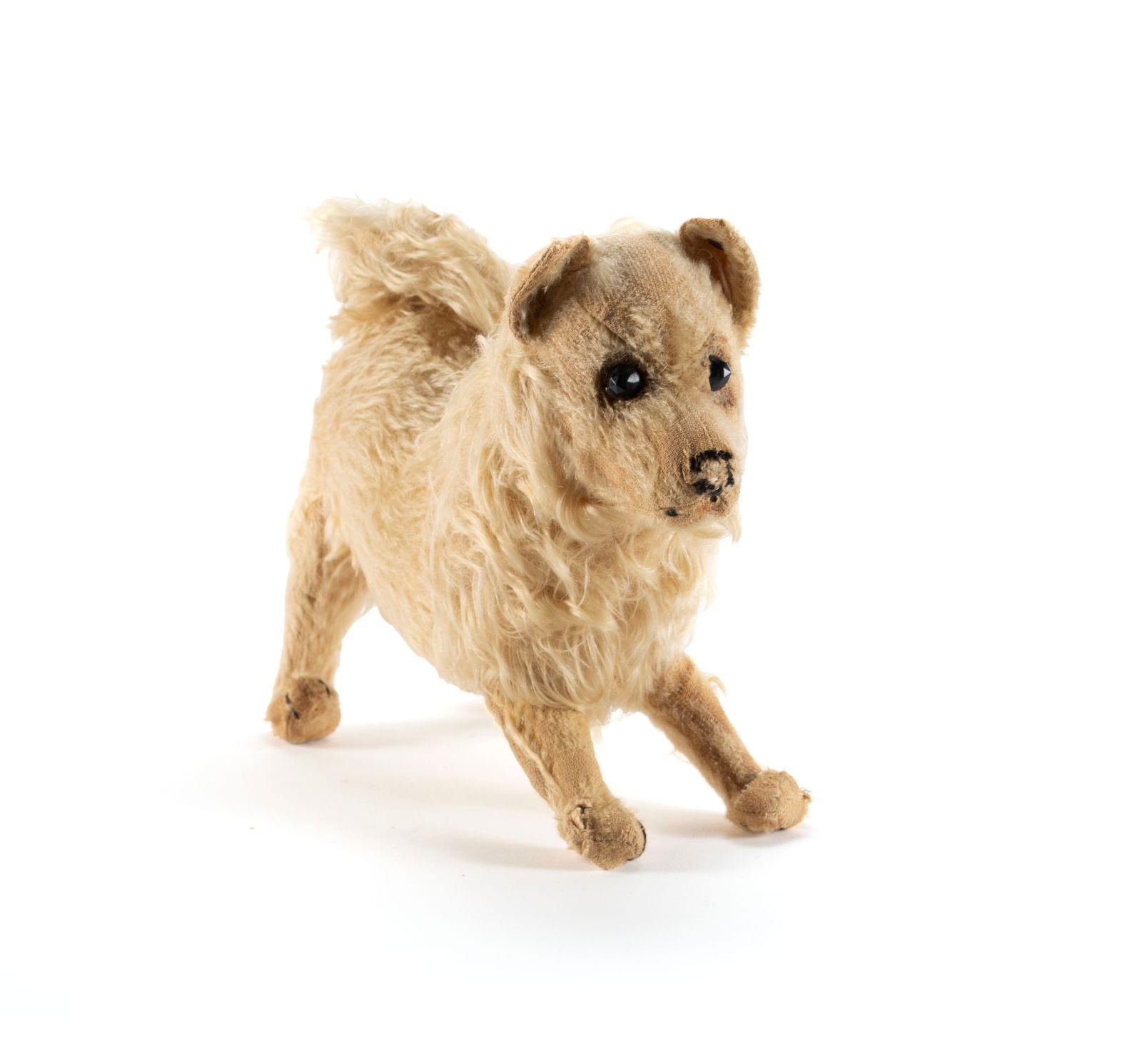 STEIFF 'SPITZ' DOG: STEIFF 'SPITZ' DOGGerman, circa 1940. With short trailing "f" button in ear.8 x 10 1/2 in. (20.3 x 26.7 cm.)