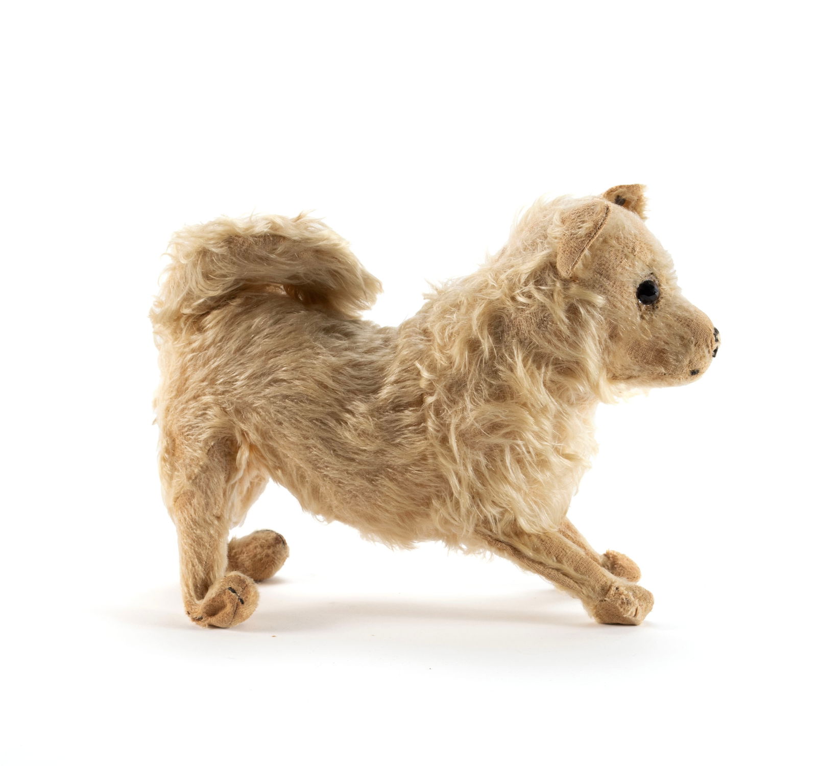 STEIFF 'SPITZ' DOG - 4