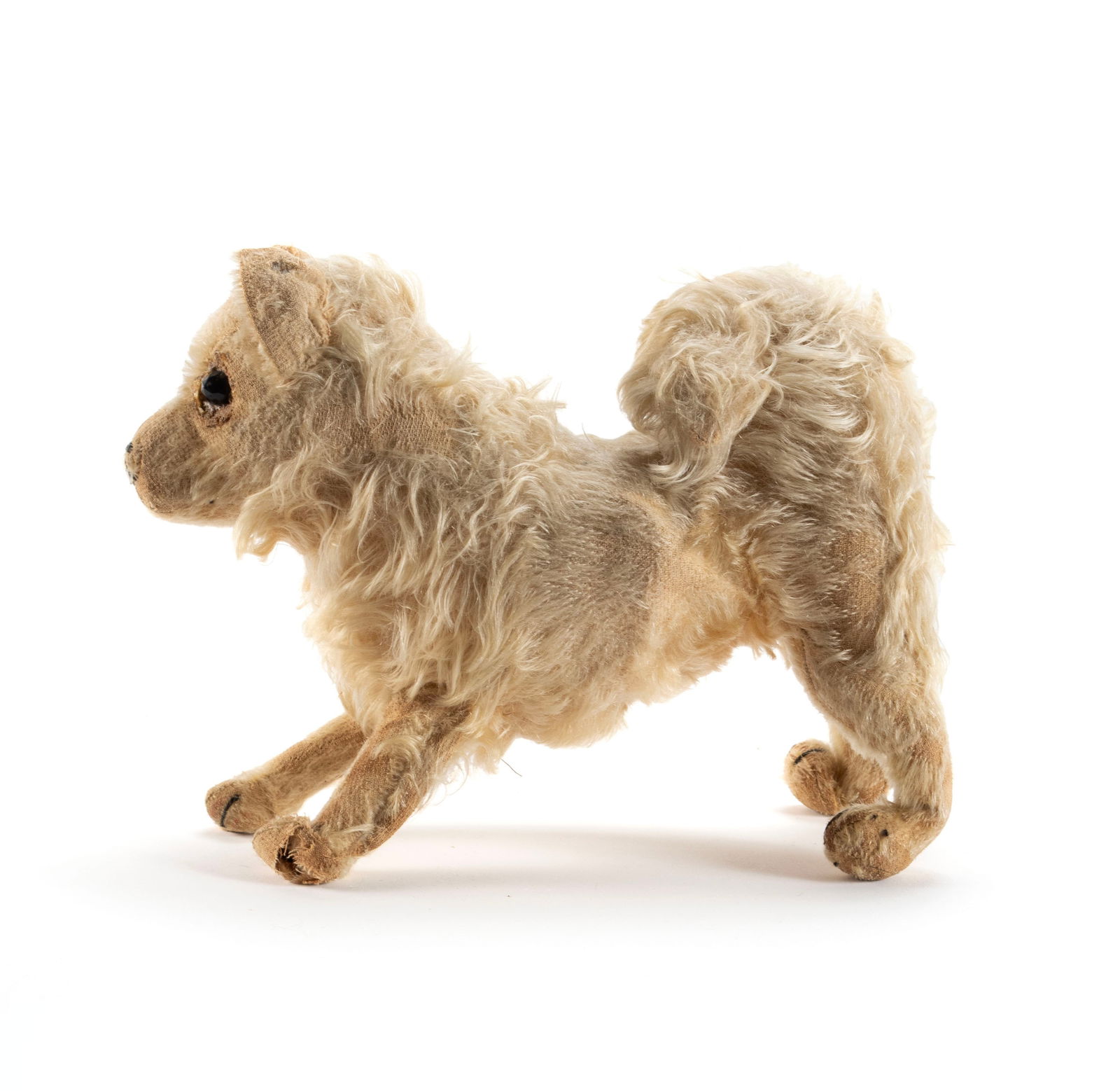 STEIFF 'SPITZ' DOG - 5