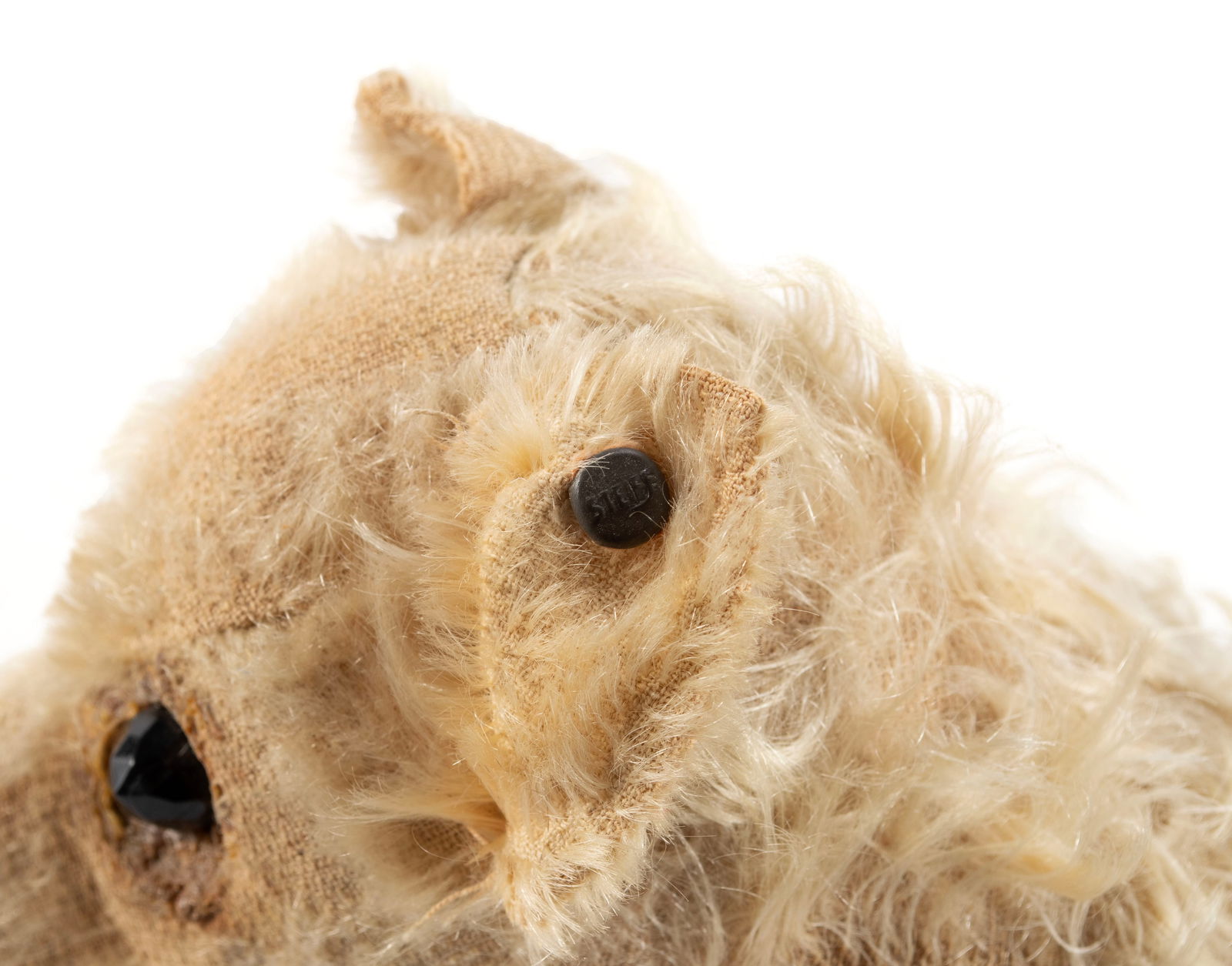 STEIFF 'SPITZ' DOG - 6