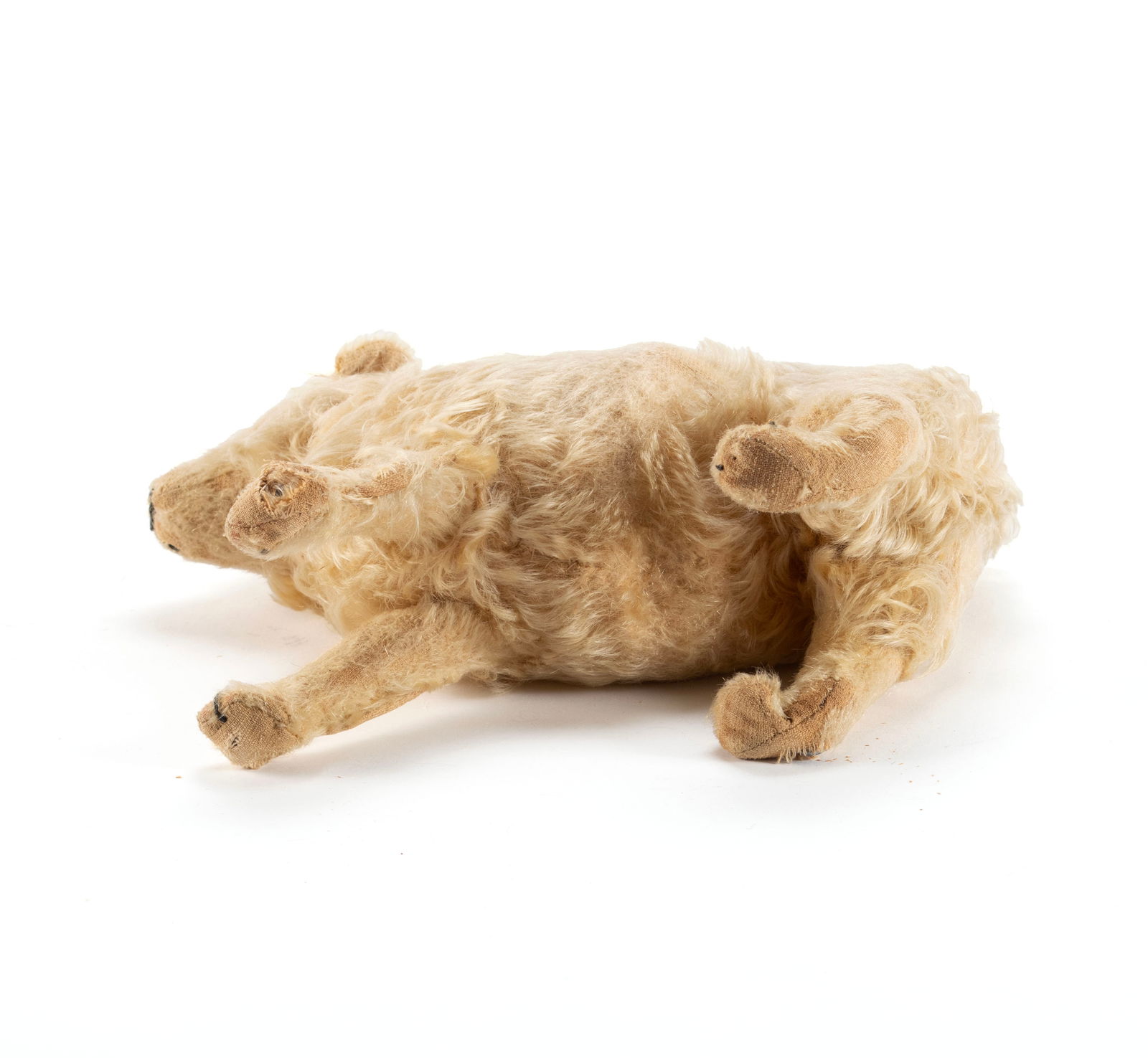 STEIFF 'SPITZ' DOG - 7