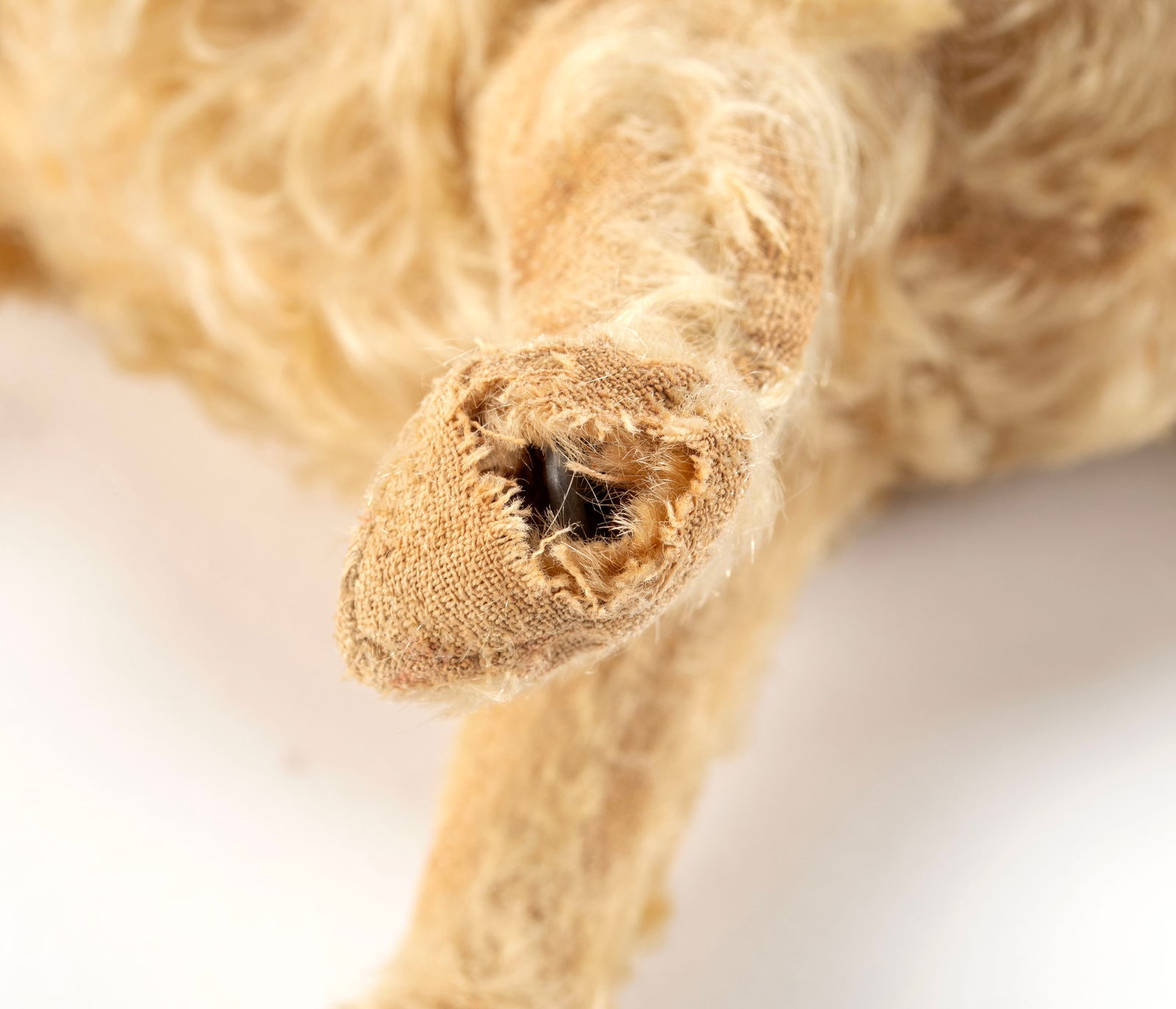 STEIFF 'SPITZ' DOG - 8