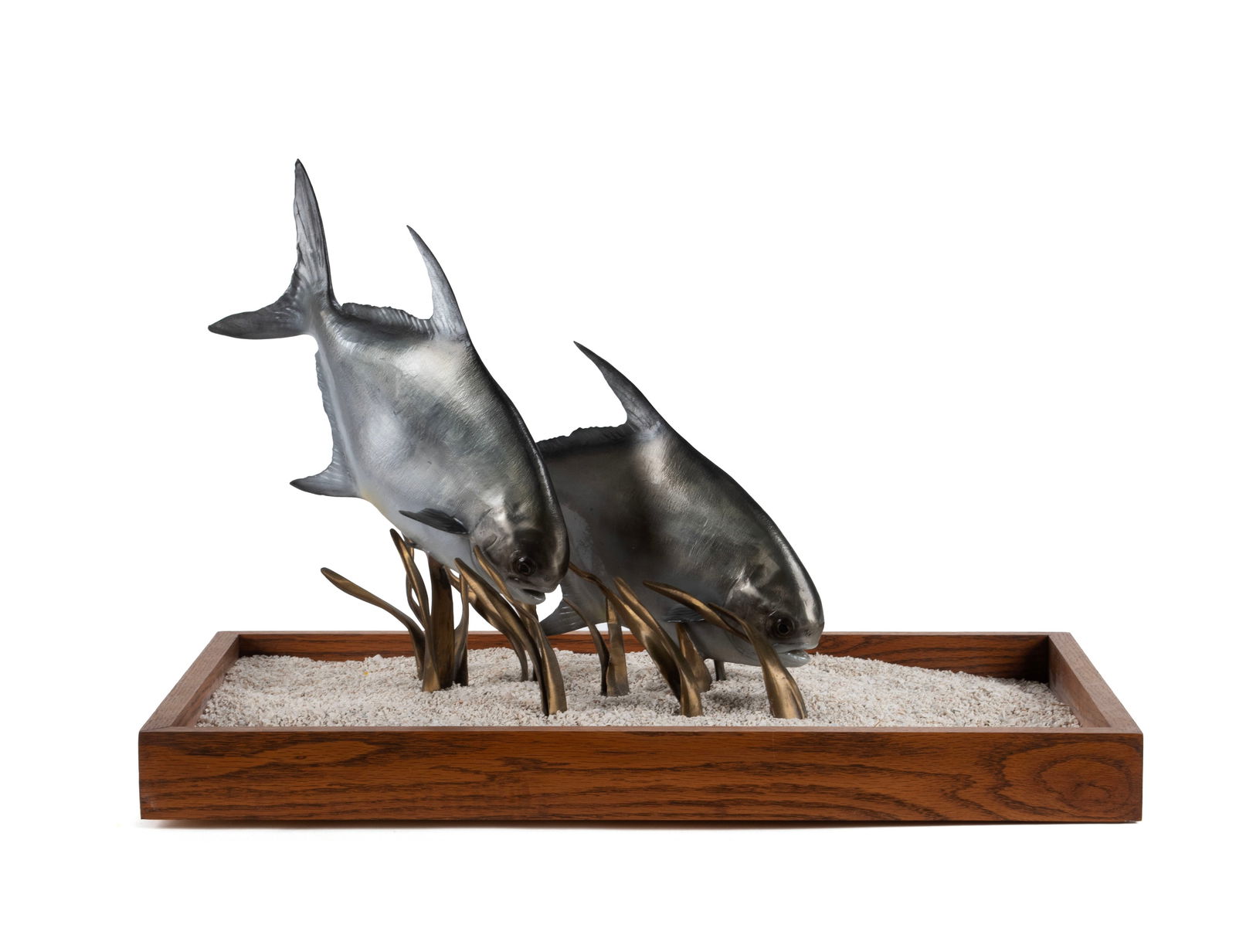 ROGERS FOWLER (AMERICAN, 20TH CENTURY): Rogers FowlerAmerican, 20th centuryPermit FishMetalTwo permit fish swimming side by side among seaweed, mounted in an oak box.17 x 16 1/2 x 27 in. (43.2 x 41.9 x 68.6 cm.), Fish group: 16 x 19 x 9 in.