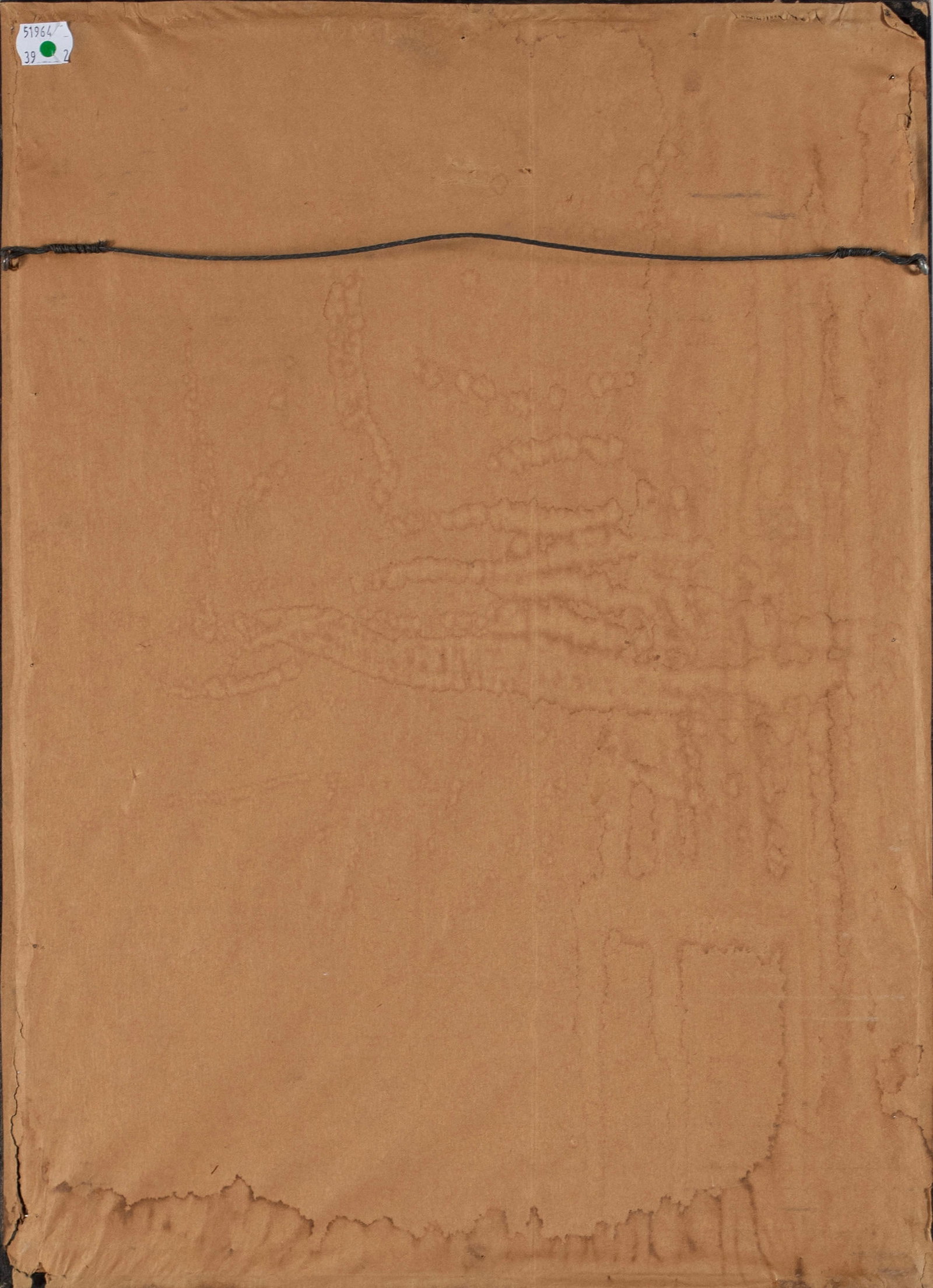 TWO BOTANICAL ENGRAVINGS - 15