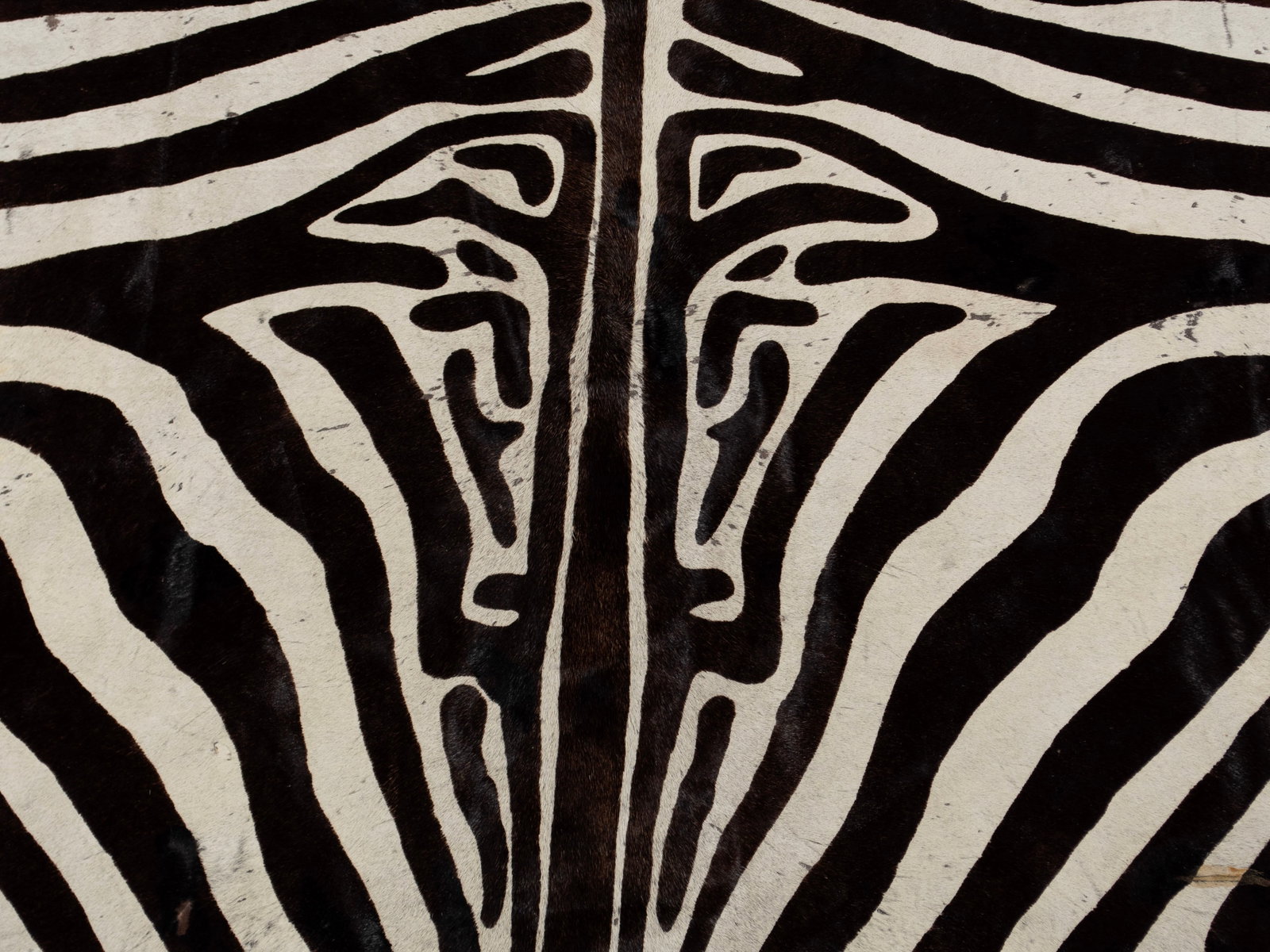 ZEBRA PATTERN HIDE RUG - 2