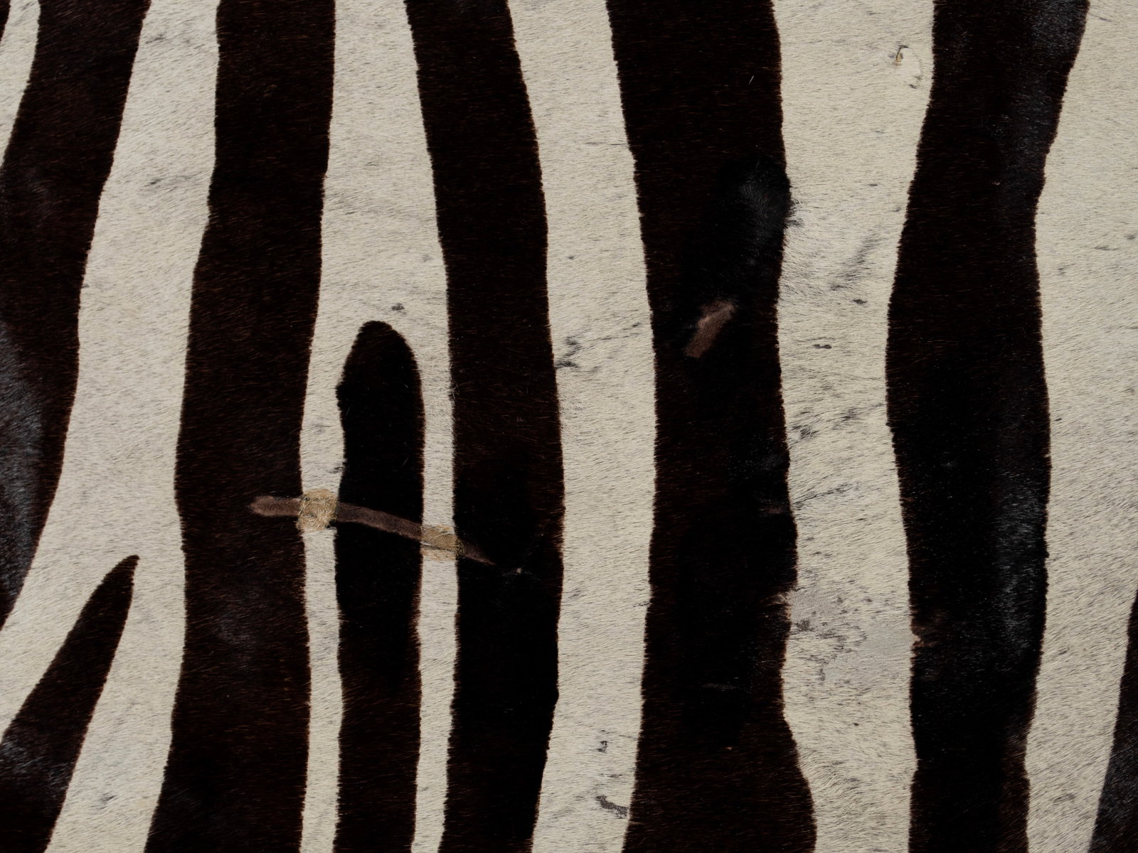 ZEBRA PATTERN HIDE RUG - 4