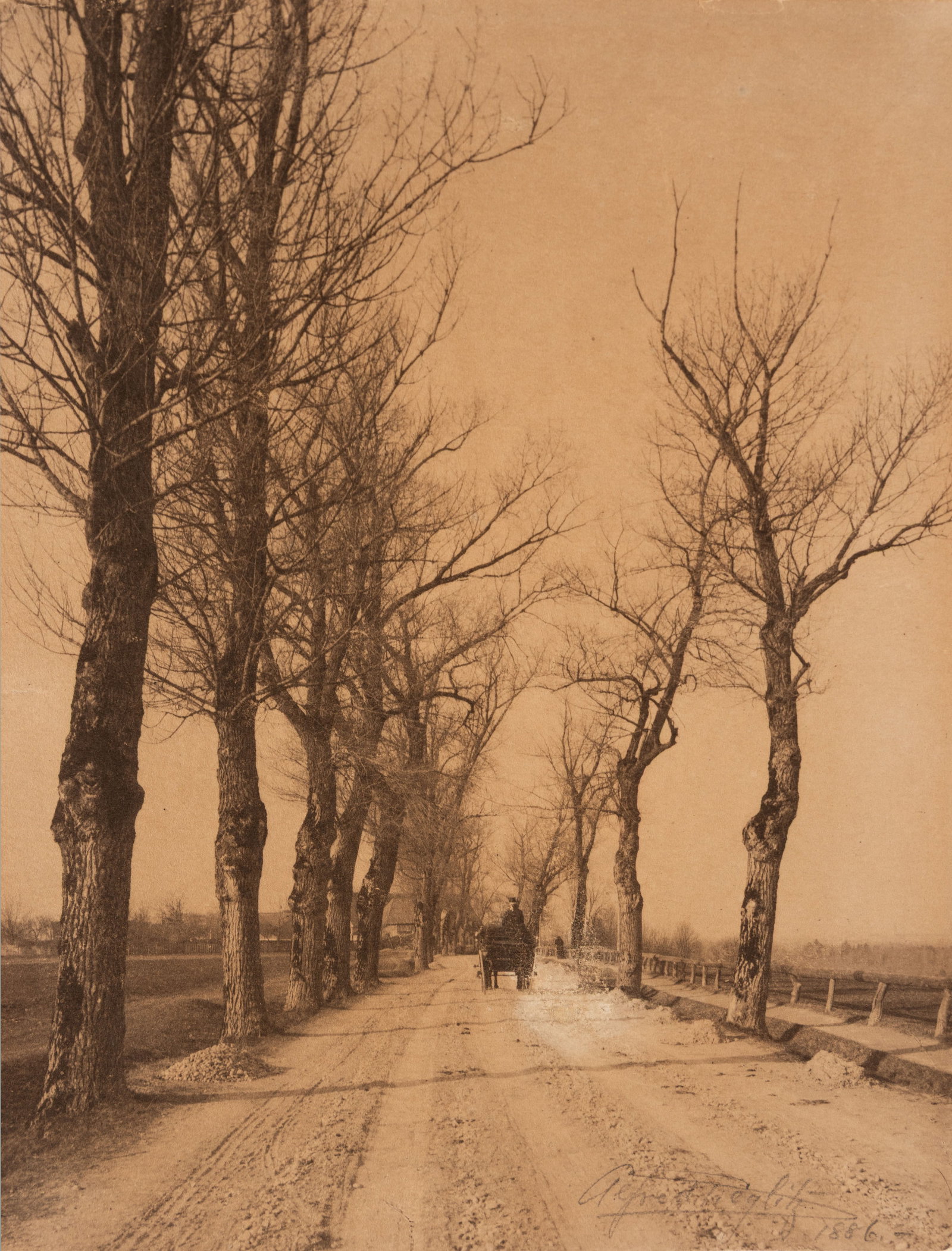ALFRED STIEGLITZ (AMERICAN, 1864-1946): Alfred Stieglitz American, 1864-1946 November Days Platinum print Signed and dated 1886 in pencil lower right of the image. Horse-drawn carriage on a tree lined road near Munich, Bavaria (Germany), ma