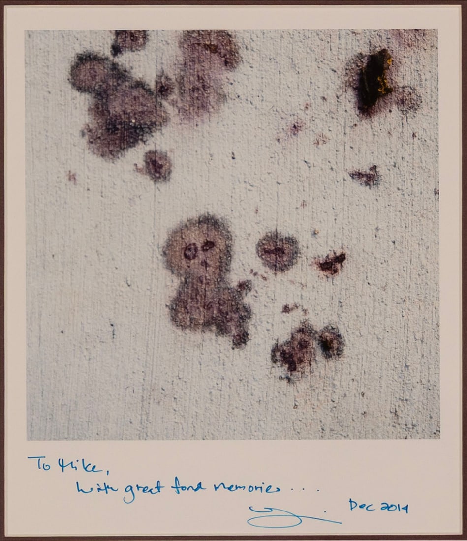 WON JU LIM (SOUTH KOREAN, B. 1968): Won Ju Lim South Korean, b. 1968 Photograph Signed with a personal note to Mike Freund and dated 2014. Stain-like images on a rough ground, matted and framed. Sight: 9 3/4 x 8 1/4 in. (24.8 x 21 cm.),