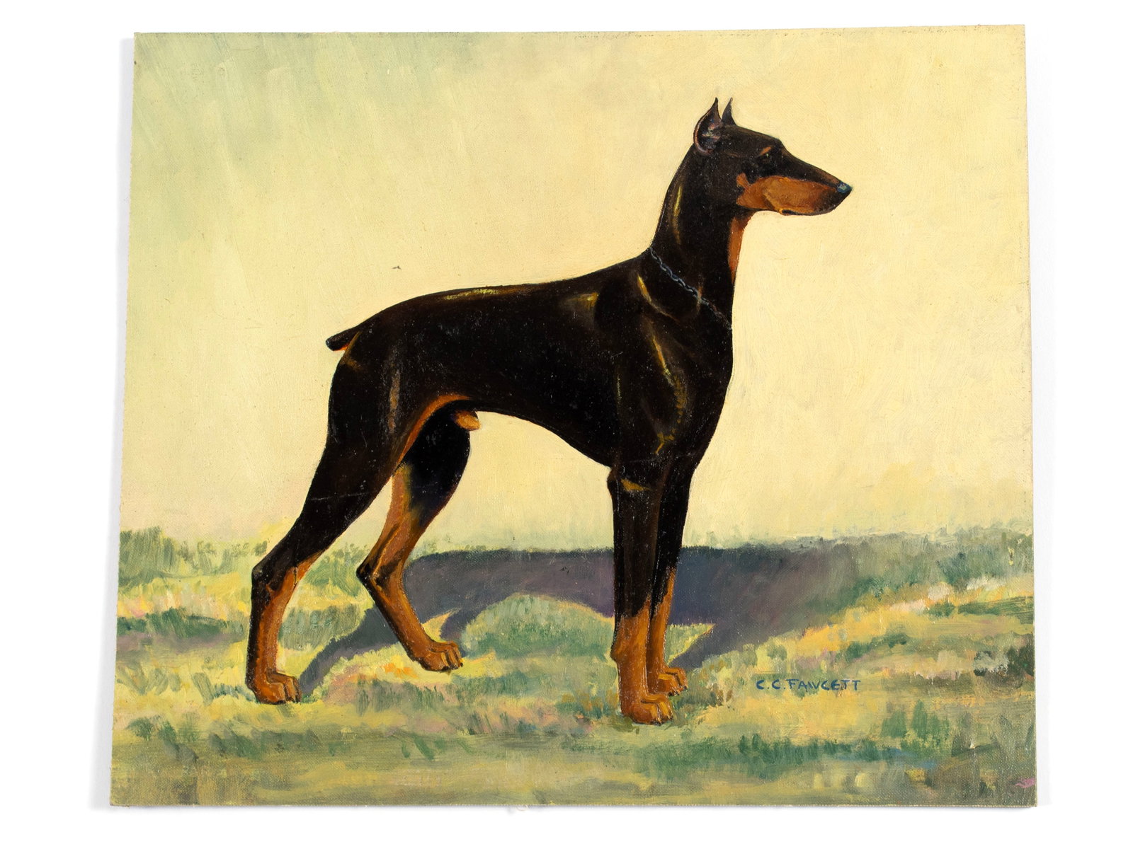 CLARENCE CALHOUN FAWCETT (AMERICAN, 1902-1988): Clarence Calhoun Fawcett American, 1902-1988 Oil on board Signed lower right. Portrait of a Doberman Pinscher in an alert show stance, unframed. Clarence Calhoun ?Tex? Fawcett was born in Smithsville,