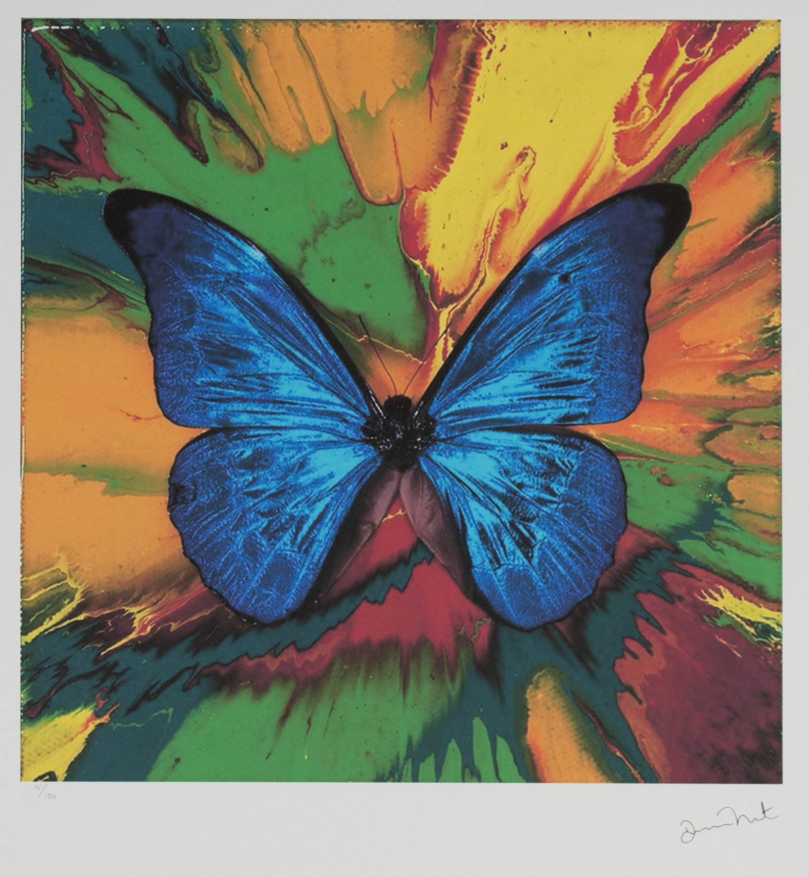 DAMIEN HIRST BUTTERFLY LITHOGRAPH: DAMIEN HIRST BUTTERFLY LITHOGRAPH Signed in plate and numbered 15/150 in pencil. Unframed. Sheet: 30 x 22 1/2 in. (76.2 x 57.2 cm.)