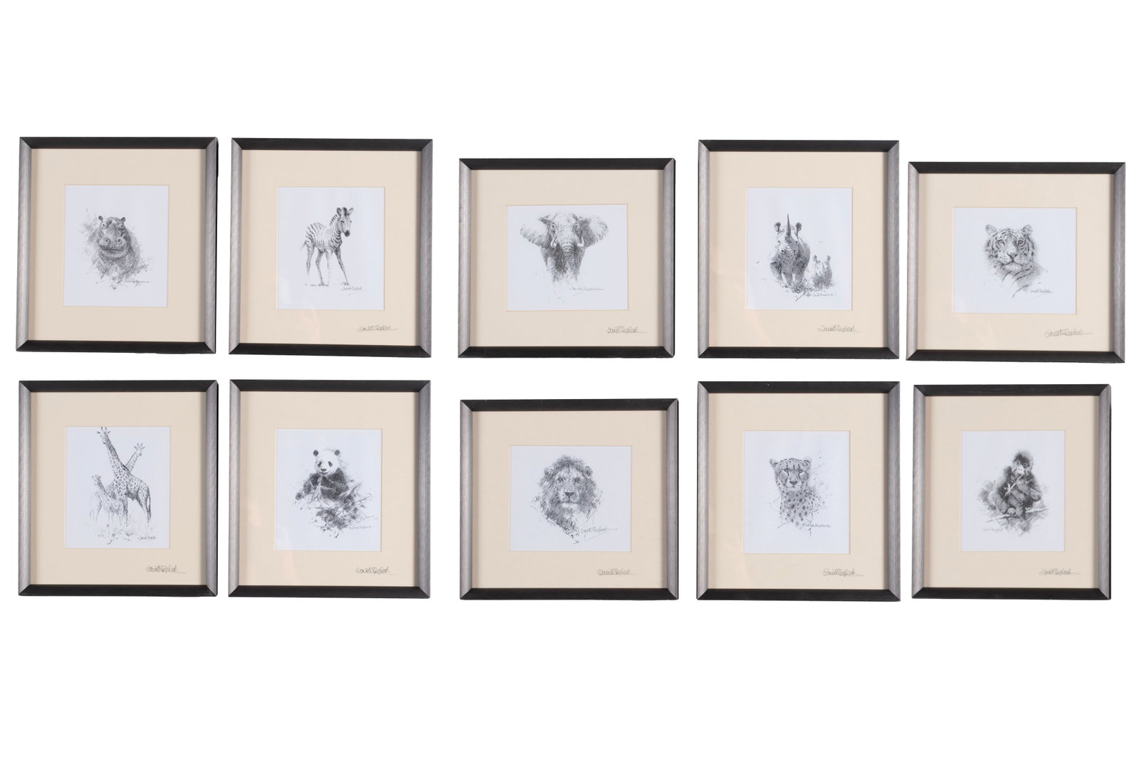 COLLECTION OF DAVID SHEPHERD SIGNED ANIMAL PRINTS (1 of 7)