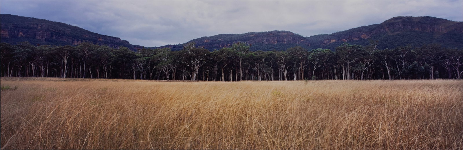 MIKE STACEY (AUSTRALIAN, 21ST C.) (1 of 6)