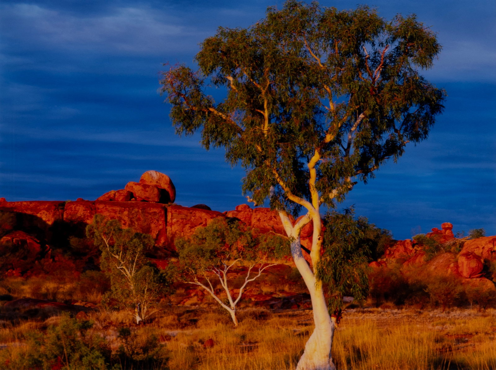 ANDREW TEAKLE (AUSTRALIAN, 21ST C.) (1 of 5)