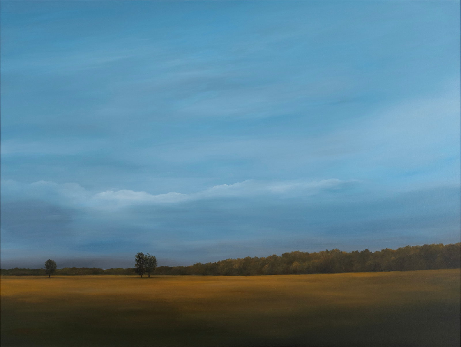 AHZAD BOGOSIAN (AMERICAN (ST. LOUIS), 20TH/21ST C.): Ahzad Bogosian American (St. Louis), 20th/21st c. Fresh Clouds Oil on canvas Signed and dated 2012 to verso. Prairie landscape with a vast blue sky, framed. 35 1/2 x 47 1/2 in. (90.2 x 120.7 cm.), Fra