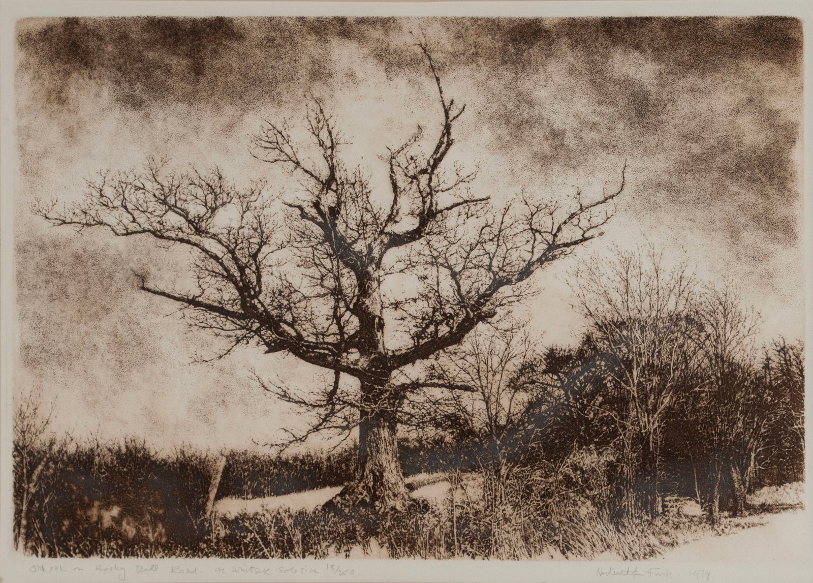 HERBERT FINK (AMERICAN, 1921-2006): Herbert Fink American, 1921-2006 Old Oak on Bosky Dell Road-on Winter Solstice Etching Titled, numbered 18/250, signed, and dated 1979 in pencil. Matted and framed. 14 x 19 in. (35.6 x 48.3 cm.),