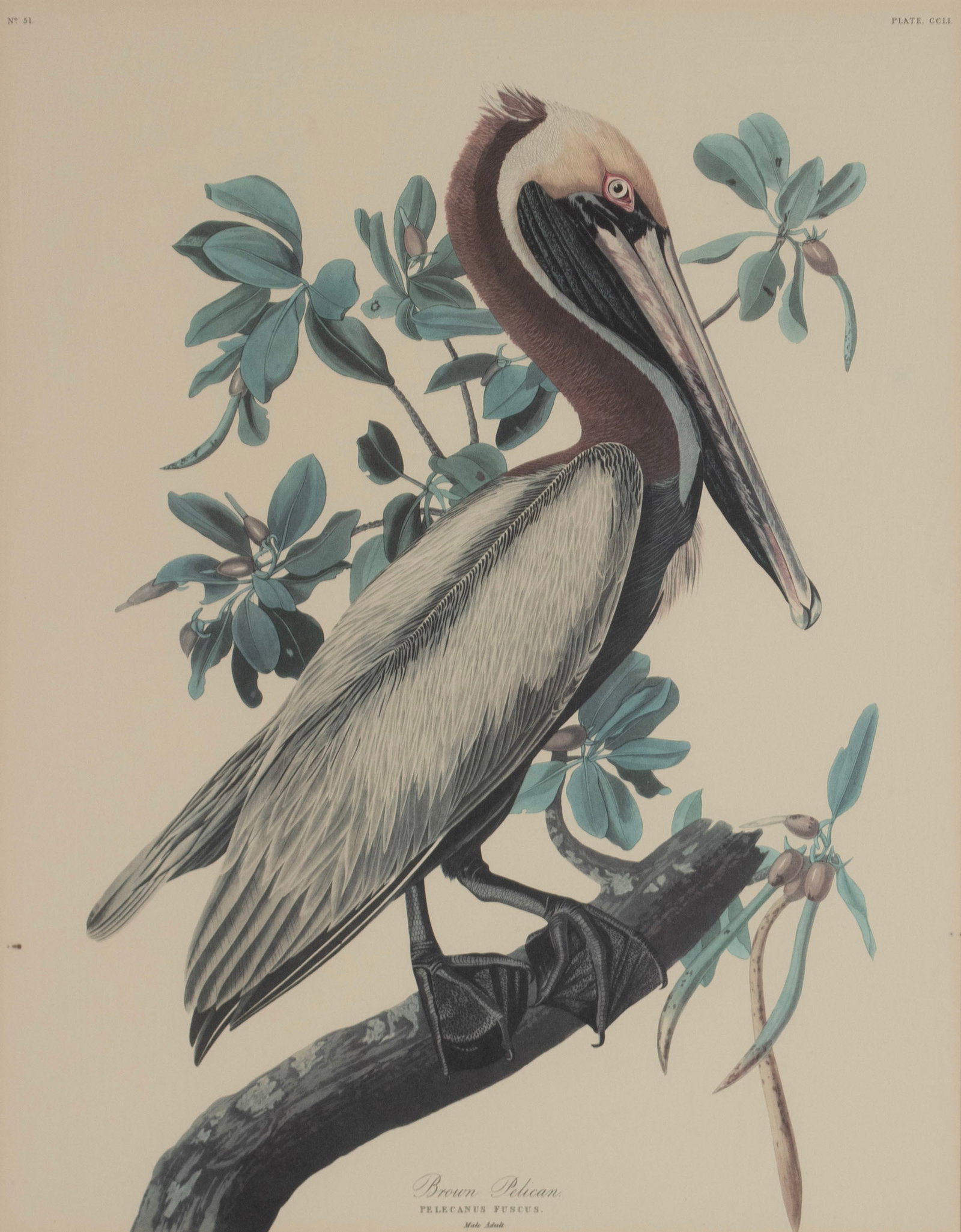 THREE PRINTS AFTER AUDUBON - 2