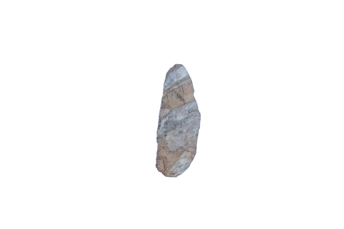 TWENTY NATIVE AMERICAN STONE ARTIFACTS - 5