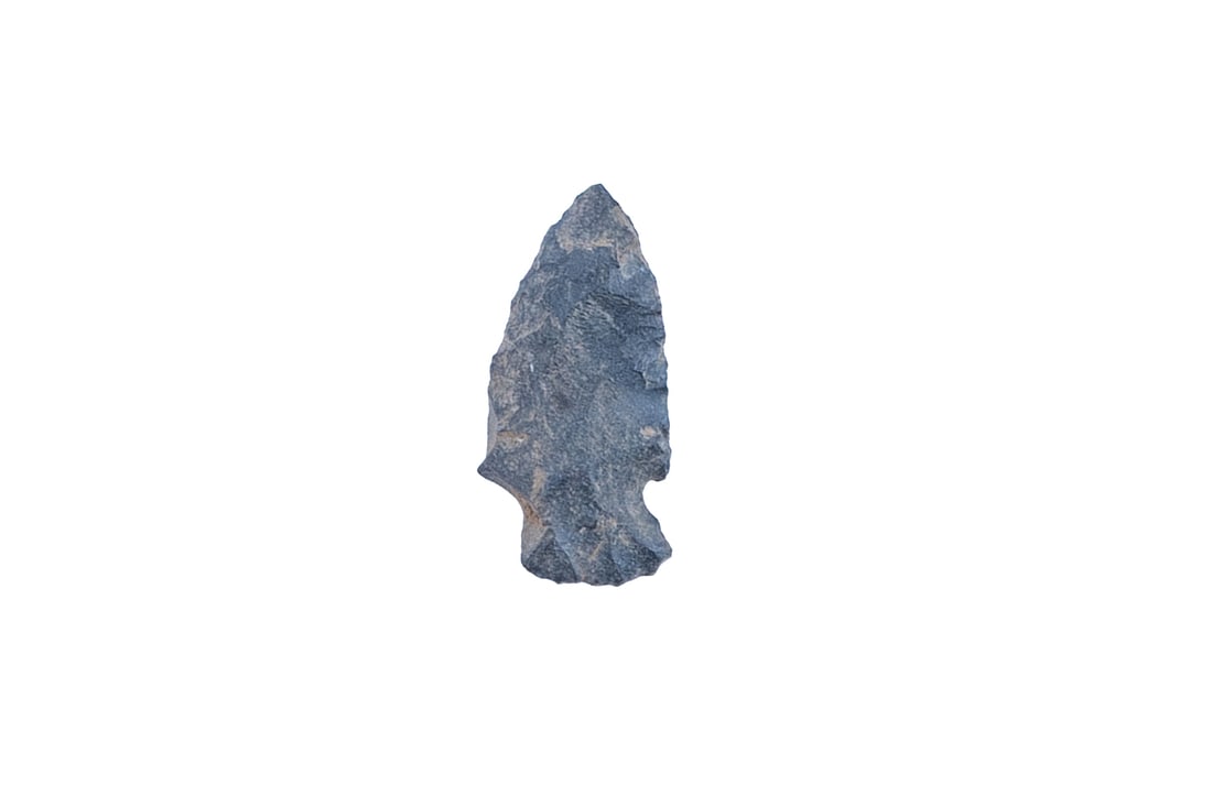 TWENTY NATIVE AMERICAN STONE POINTS - 4
