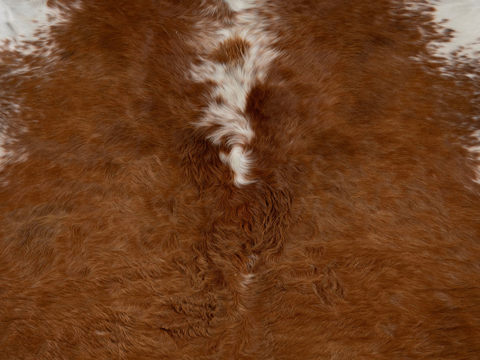 COW HIDE RUG - 2