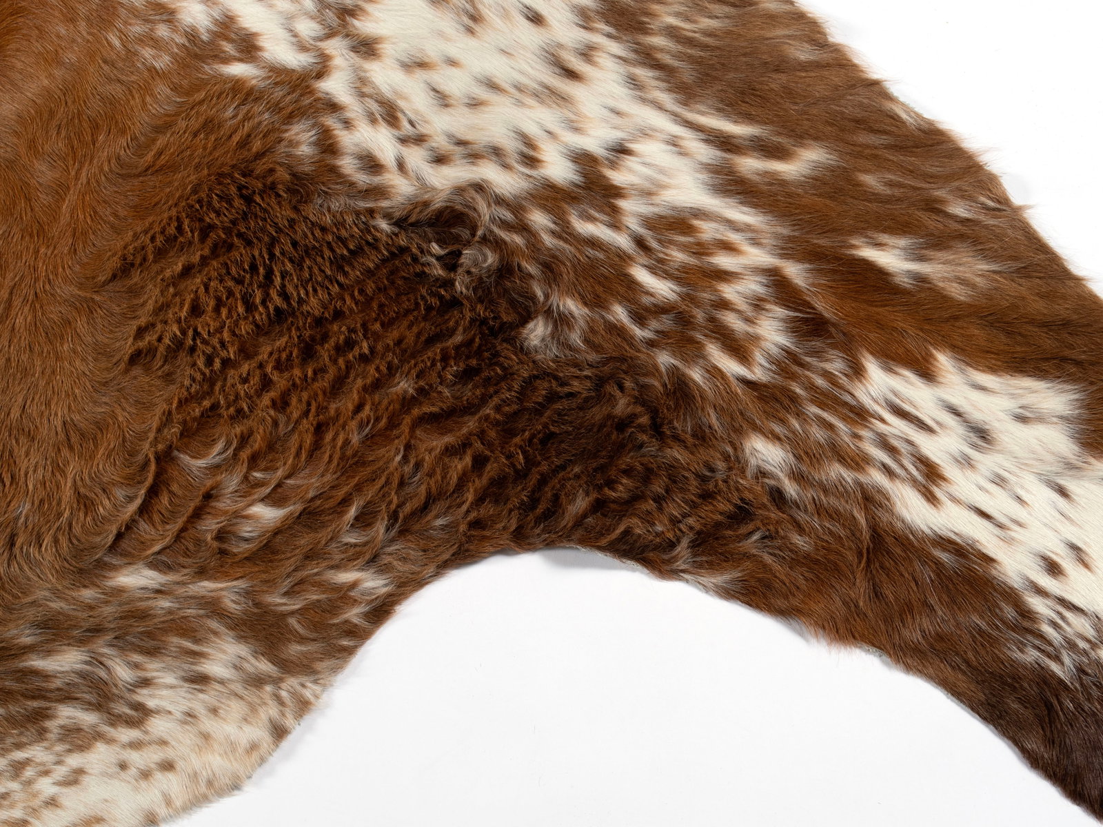 COW HIDE RUG - 3
