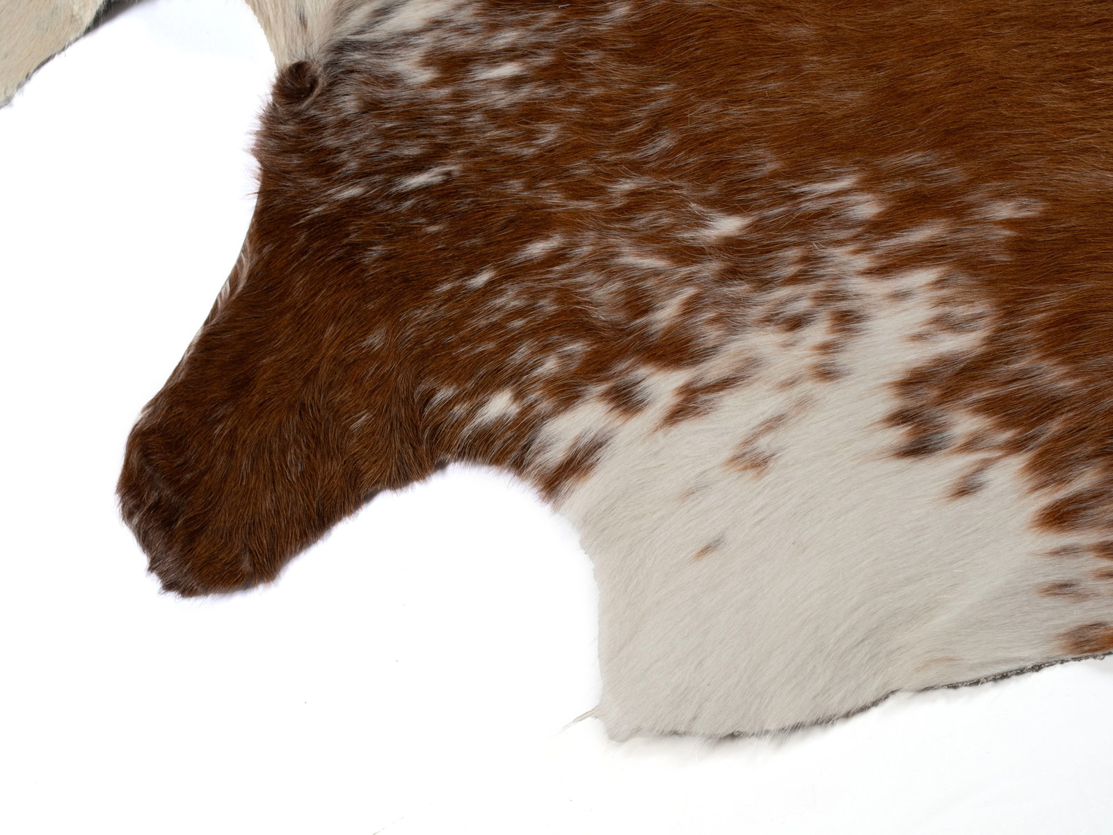 COW HIDE RUG - 5