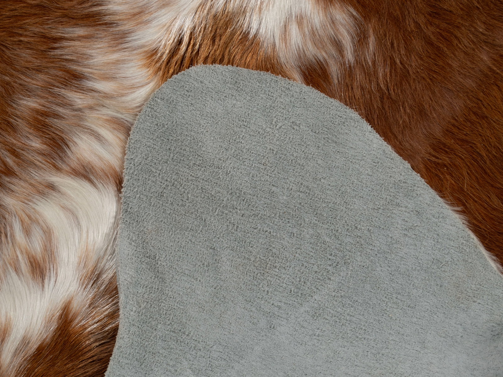 COW HIDE RUG - 6