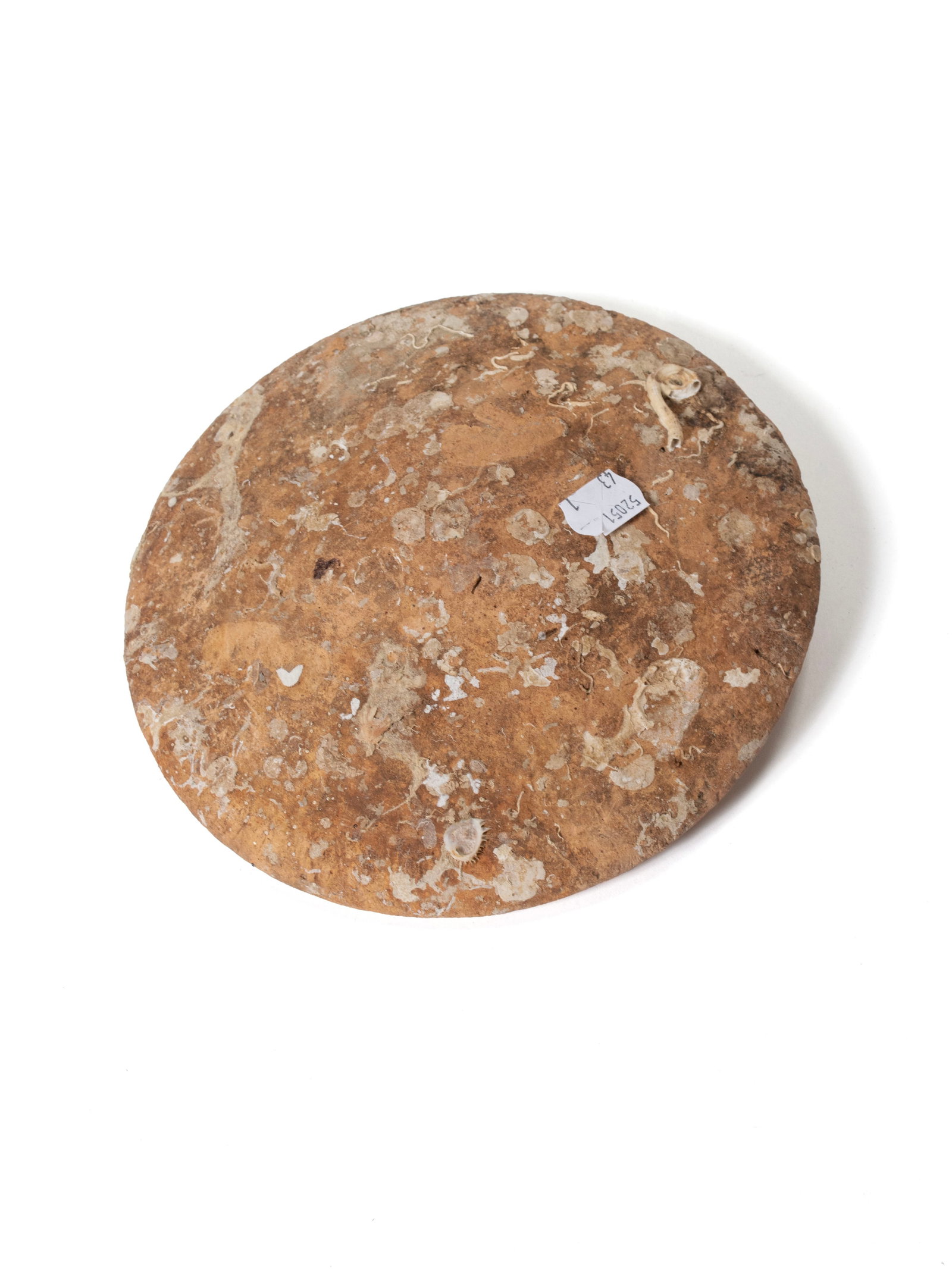 LARGE AMPHORA POTTERY JAR - 4