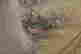 item-121260966=2