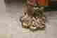 item-131822741=6