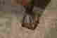 item-131822781=3