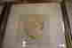 item-131822898=3