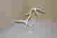 item-131822926=2